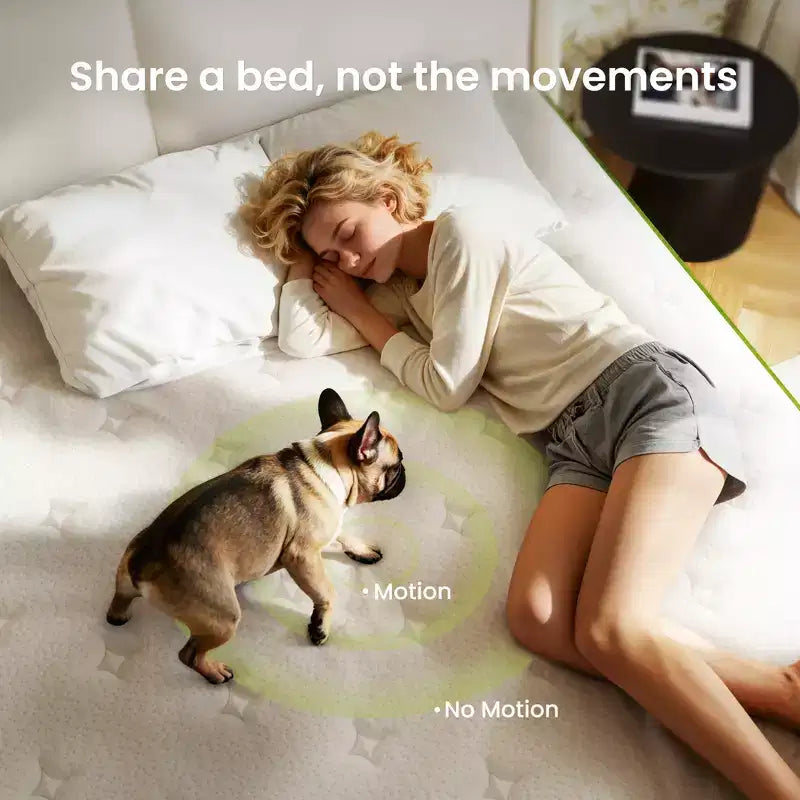 Swedrea Hybrid Mattress Medium Anti Static Cooling Gel Memory Foam Antisensitivity in White